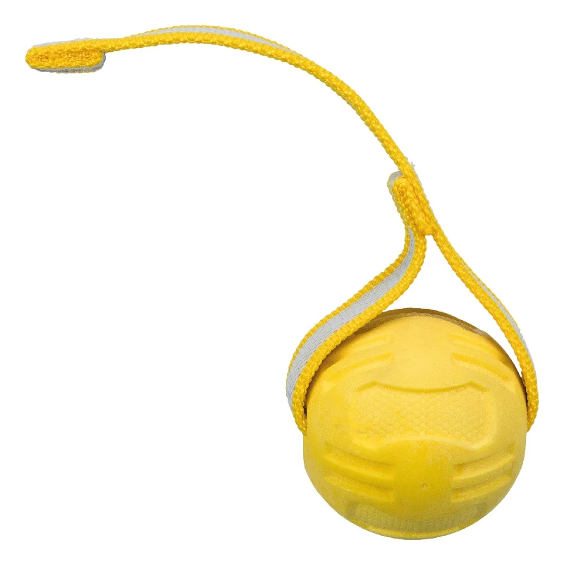 - Wooden pet toy recommendationsSporting Ball with strap