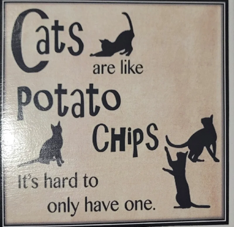 Dog Coaster Magnet Cats are like Potato Chips /Cat Hair Is My Glitter