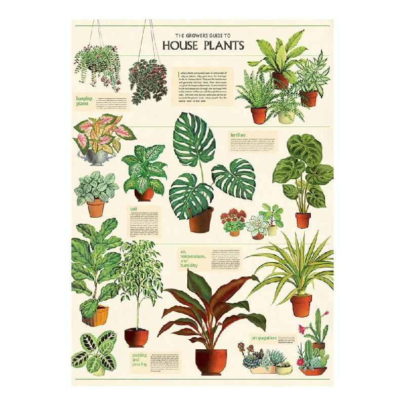 Cavallini Vintage Poster Houseplants