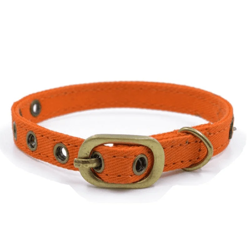 2. **Cat toy cat teaser**PetWale Collar for Cats (Orange)